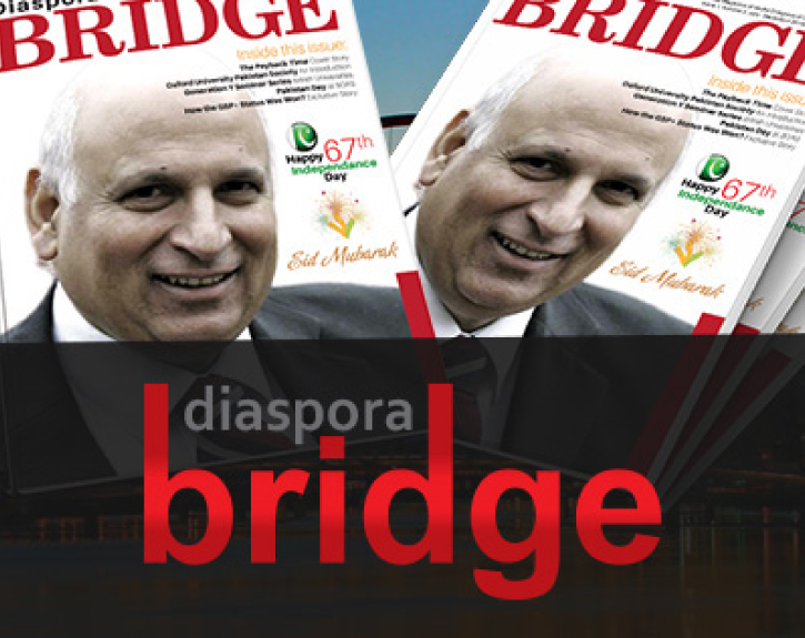 Diaspora Bridge Magazine 2014