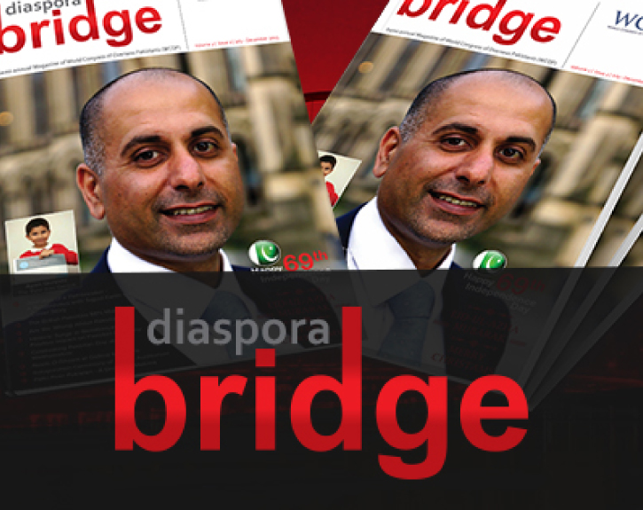 Diaspora Bridge Magazine 2014